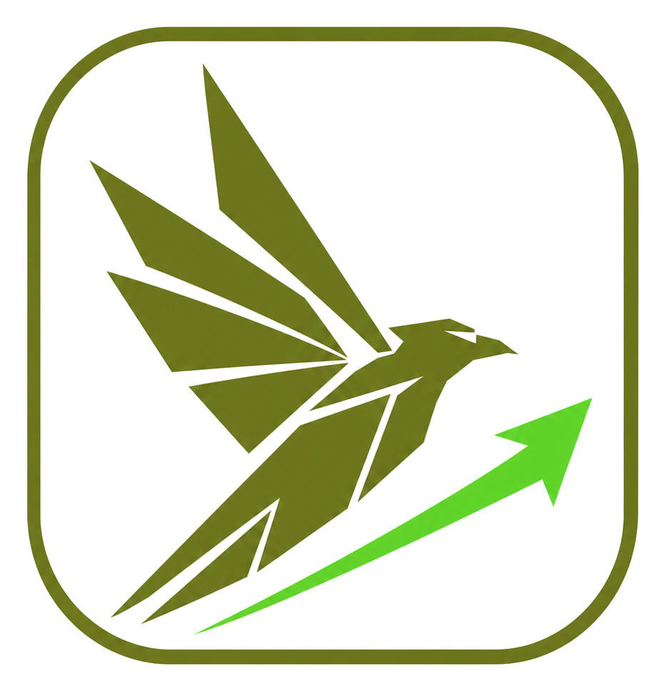 Raven Loans logo